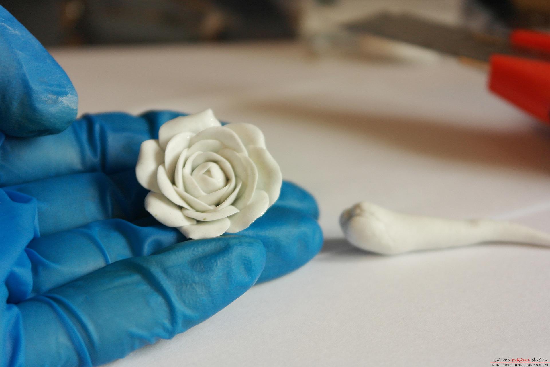 По нашему подробному мастер-классу с фото вы сможете создать оригинальные полимерные украшения – заколки, которым придают изящность и красоту цветы из глины.. Фото №20